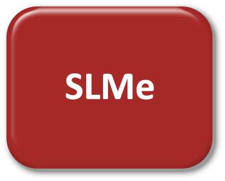 Someone Like Me Button